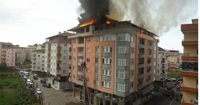 image-20160822213802.jpeg image-20160822213802.jpeg