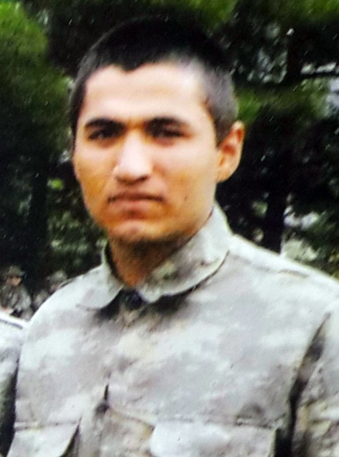 image-211.jpeg image-211.jpeg