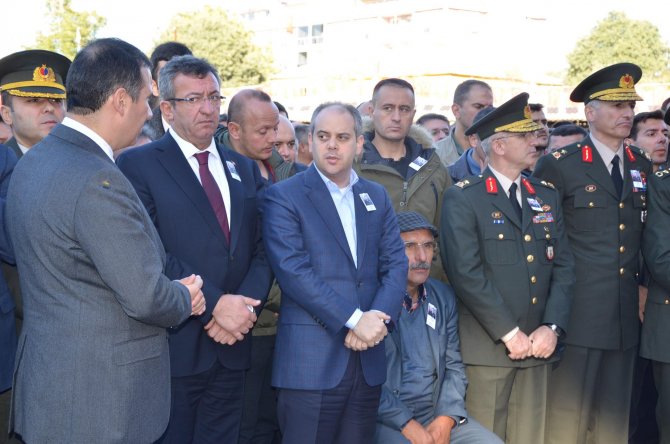 image-218.jpeg image-218.jpeg