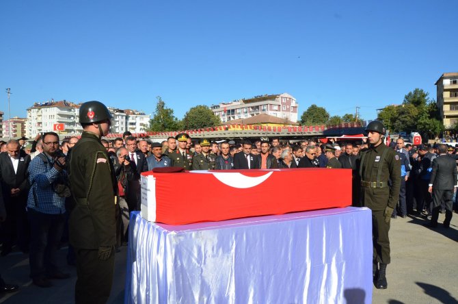 image-219.jpeg image-219.jpeg