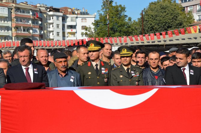 image-220.jpeg image-220.jpeg