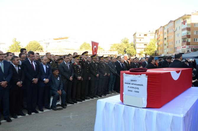 image-221.jpeg image-221.jpeg