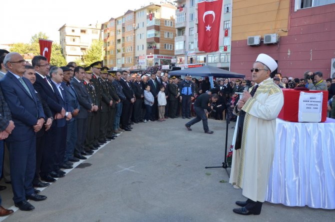 image-222.jpeg image-222.jpeg