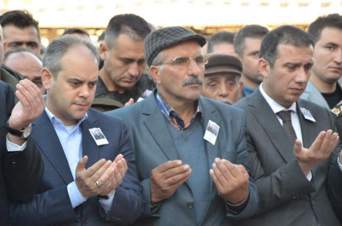 image-223.jpeg image-223.jpeg