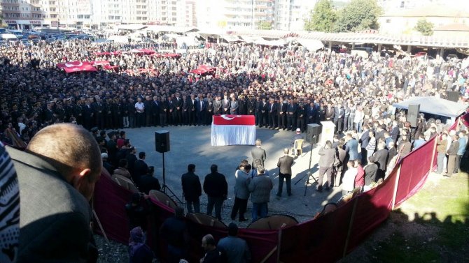 image-224.jpeg image-224.jpeg