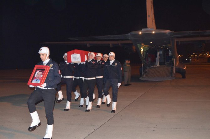 image-225.jpeg image-225.jpeg