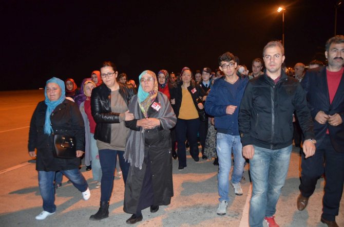 image-231.jpeg image-231.jpeg