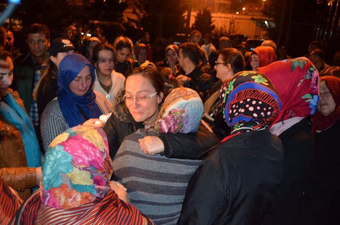 image-232.jpeg image-232.jpeg