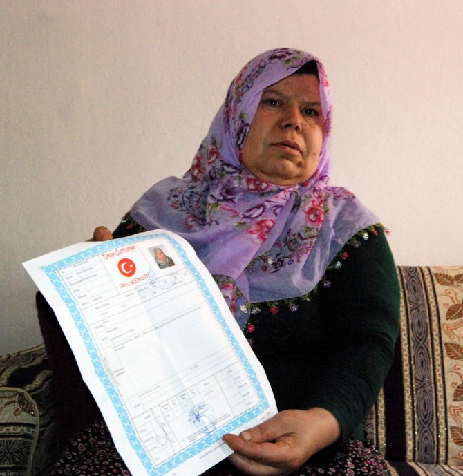 image-356.jpeg image-356.jpeg