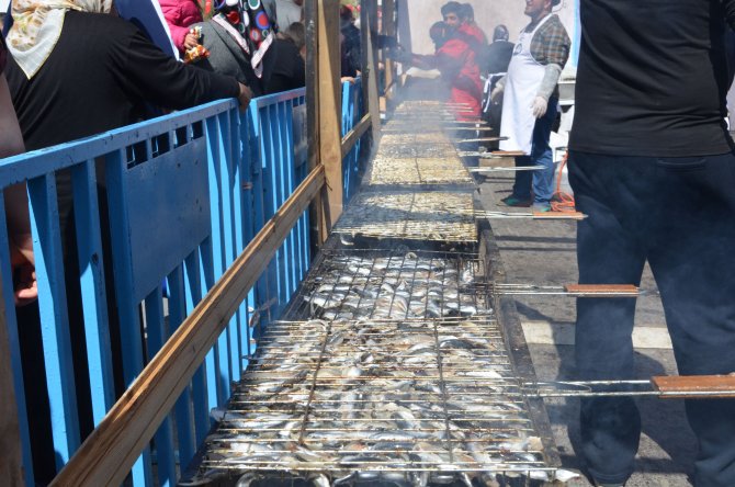 image-851.jpeg image-851.jpeg