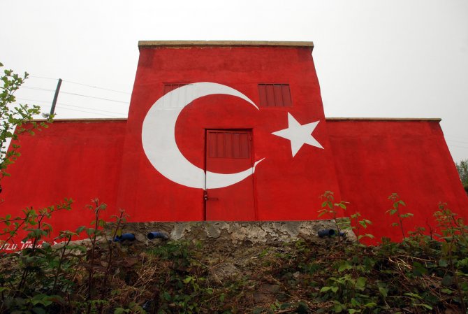 image-919.jpeg image-919.jpeg