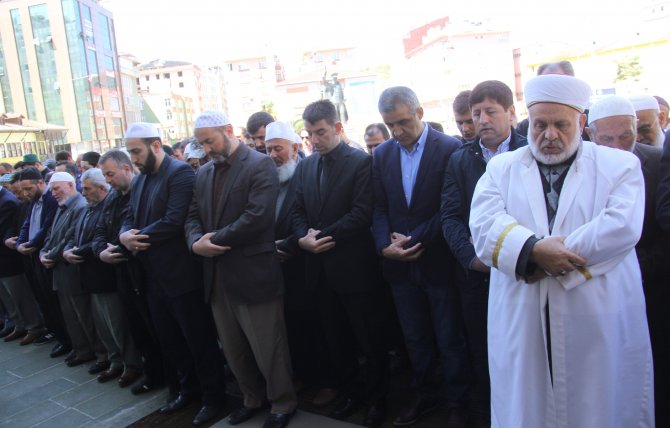 image-931.jpeg image-931.jpeg