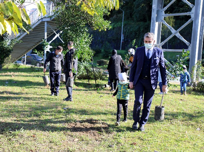 izmir-depreminde-olenler-anisina-rizede-fidan-dikildi-(1).jpg