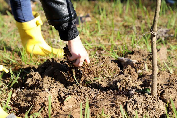 izmir-depreminde-olenler-anisina-rizede-fidan-dikildi-(3).jpg