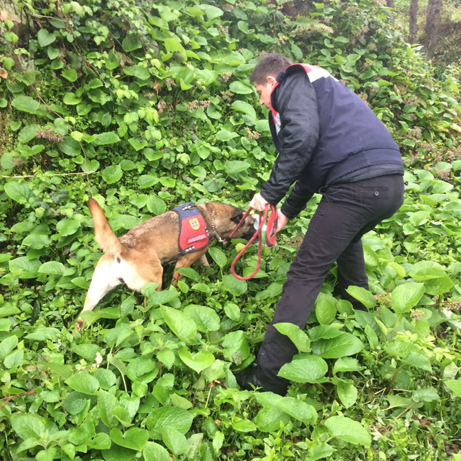 jandarma-araziye-gomulu-30-bin-liralik-bonzai-ele-gecirdi-2.jpg jandarma-araziye-gomulu-30-bin-liralik-bonzai-ele-gecirdi-2.jpg