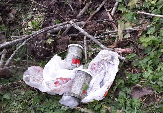 jandarma-araziye-gomulu-30-bin-liralik-bonzai-ele-gecirdi3.jpg jandarma-araziye-gomulu-30-bin-liralik-bonzai-ele-gecirdi3.jpg