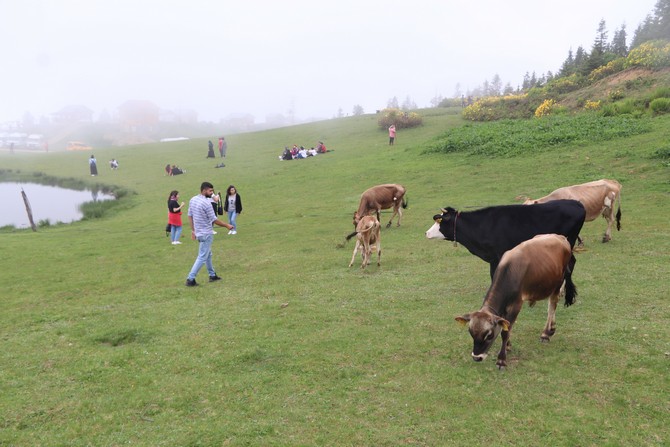 kackarlar’in-etegindeki-minik-golu-ile-meshur-badara-yaylasi-turistlerin-yeni-ugrak-noktasi-(2).jpg