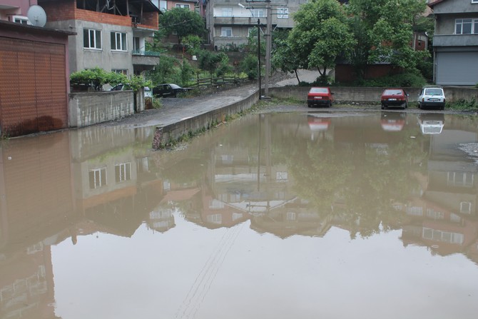 karadeniz-iki-renk-oldu-(9).jpg