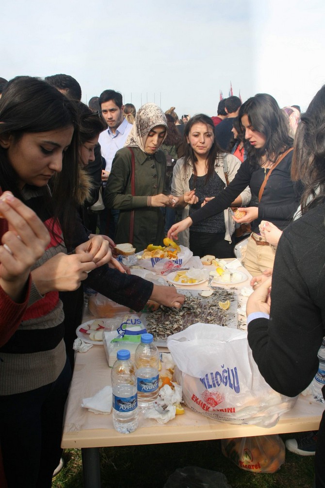 karadeniz-teknik-universitesinde-hamsi-soleni-(4).jpg