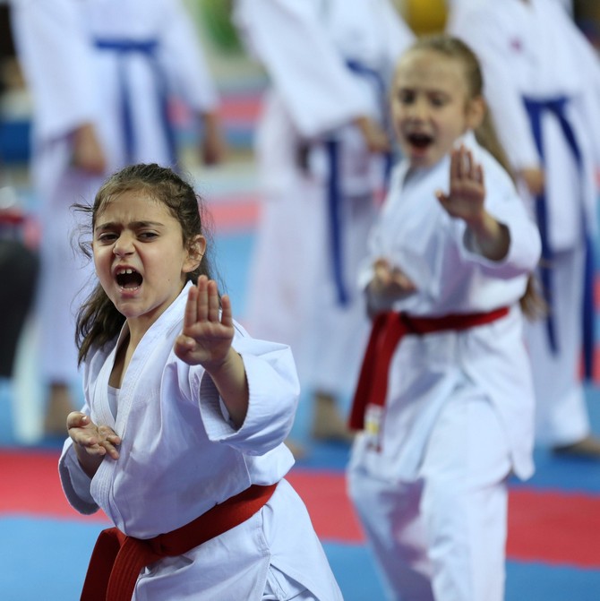 karadeniz-ve-hazar-denizi-ulkeleri-karate-sampiyonasi-(11).jpg