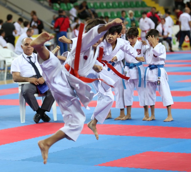 karadeniz-ve-hazar-denizi-ulkeleri-karate-sampiyonasi-(7).jpg