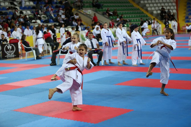 karadeniz-ve-hazar-denizi-ulkeleri-karate-sampiyonasi-(9).jpg