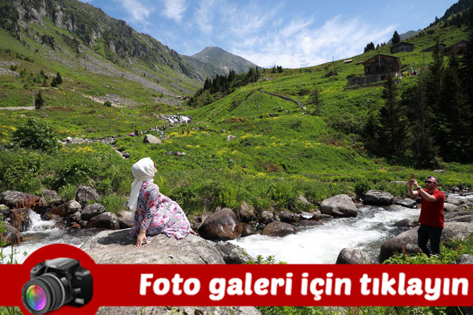 karadenizin-yeni-gozdesi-elevit-yaylasi-ziyaretcilerine-adeta-nefes-oluyor.jpg