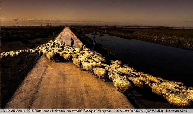 kizilirmak-deltasini-anlatmak-fotograf-yarismasi-(5)-001.jpg