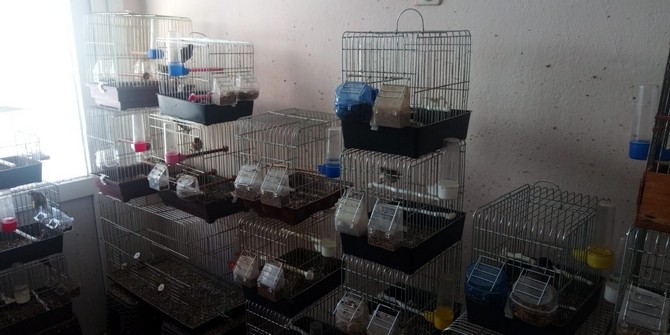 koruma-altindaki-kuslari-kafeste-besleyen-sahsa-ceza-yagdi-(2).jpg