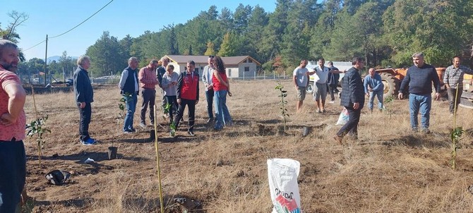 marmariste-rize-mandalinasi-bahcesi-kuruldu-7.jpg