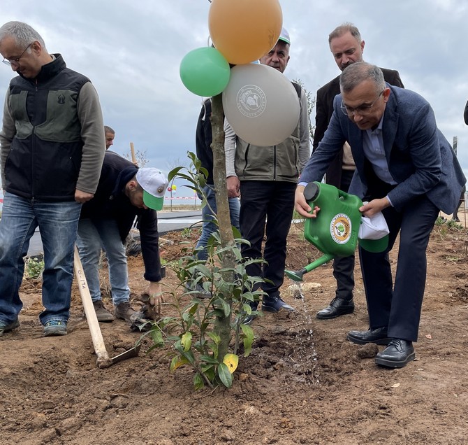 milli-agaclandirma-gunu-etkinlikleri-kapsaminda-rizede-fidanlar-dikildi-1.jpg