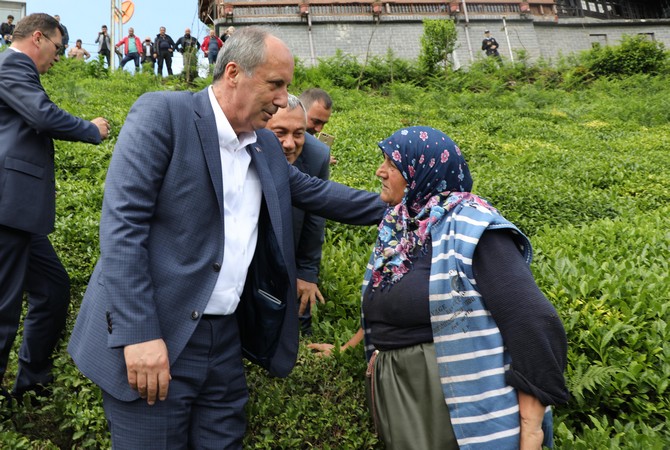 muharrem-ince,-rize’de-cay-bahcesine-girip-cay-topladi-(5).jpg