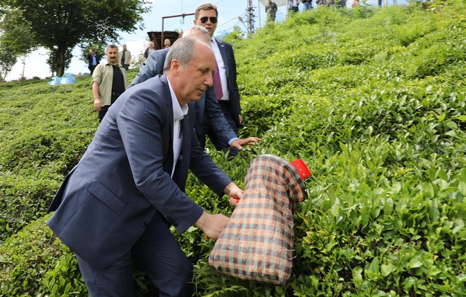 muharrem-ince,-rize’de-cay-bahcesine-girip-cay-topladi-(6).jpg