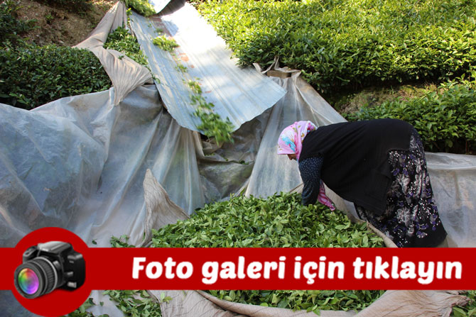 oluk-yaparak-cay-tasimaktan-kurtuldu-foto-galeri.jpg