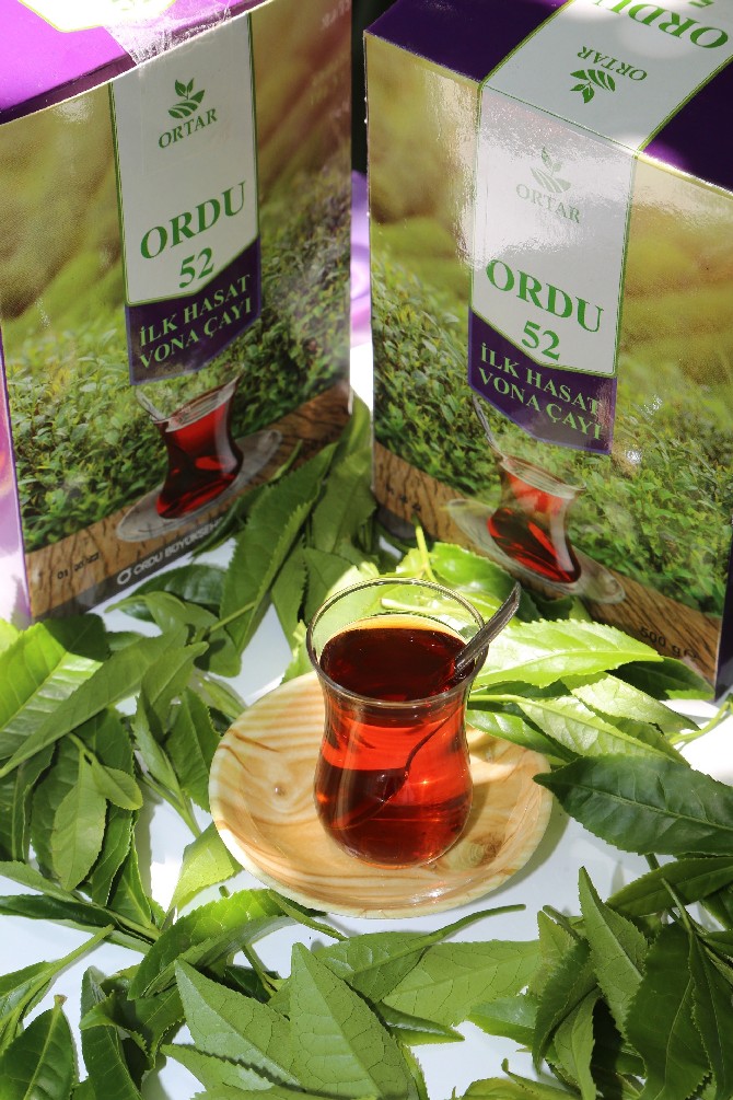 ordu-52-cayi-(1).jpg