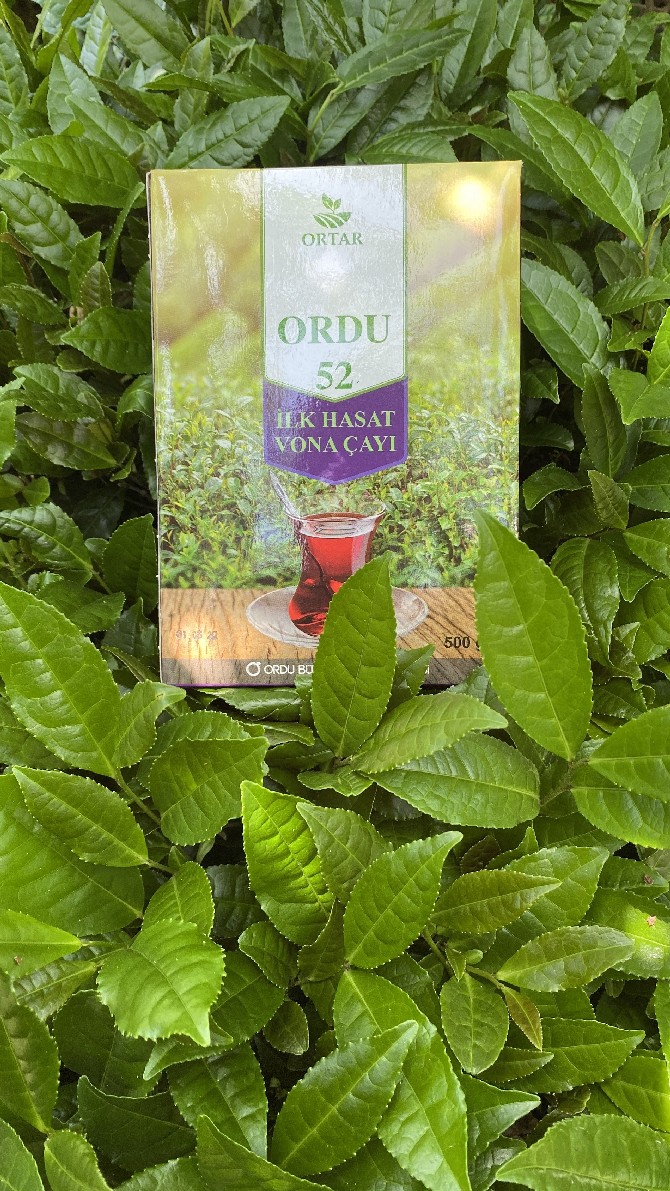 ordu-52-cayi-(2).jpg