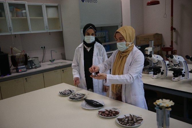 ordu-universitesinde-yurutulen-iki-yillik-calisma-sonrasi-karadenizde-en-cok-avlanan-balik-turlerinden-hamsinin-biyoaktif-ozelliginin-yuksek-oldugu-belirlendi-1.jpg
