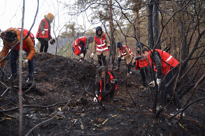 orman-yangini-sahasinda-cop-temizligi-yaptilar-1.jpg
