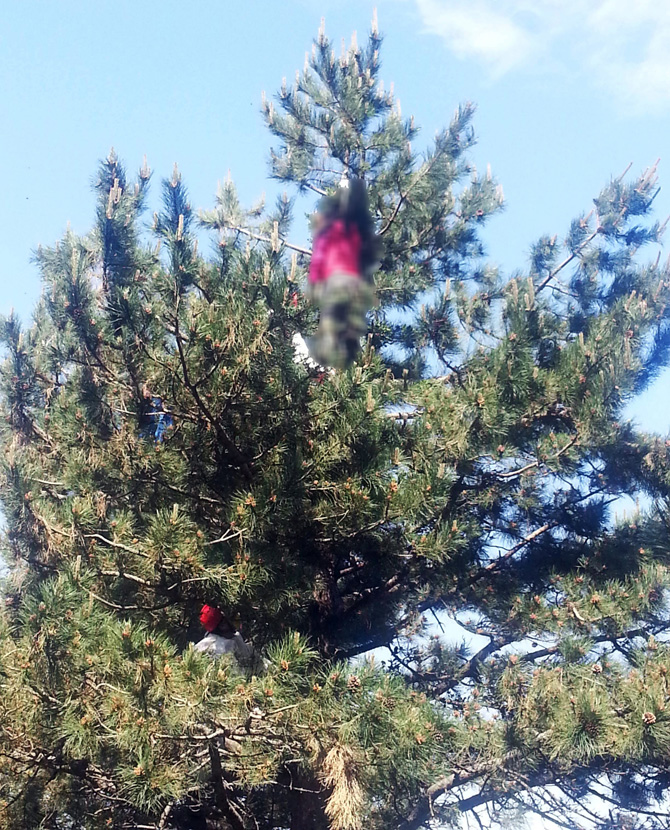 ormanlik-alanda-’ceset’-kurtarma-operasyonu1.jpg ormanlik-alanda-’ceset’-kurtarma-operasyonu1.jpg