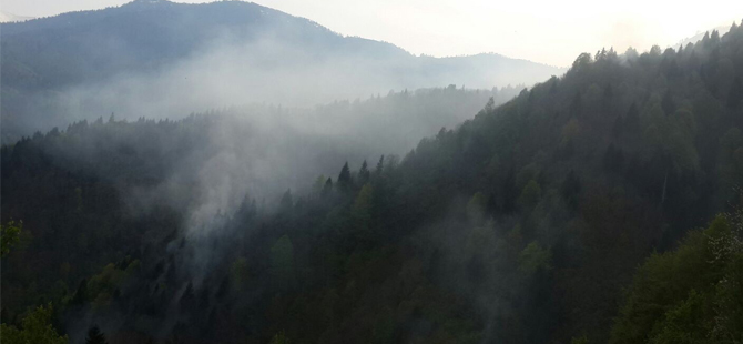 ortu-yangini-rize.jpg