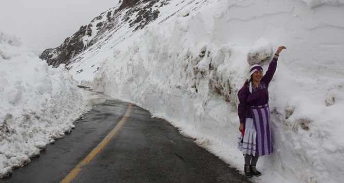 ovit-dagi-001.jpg ovit-dagi-001.jpg