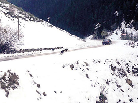 petlas-reklam-filmi-rize-ikizdere-3.20150225021548.jpg petlas-reklam-filmi-rize-ikizdere-3.20150225021548.jpg