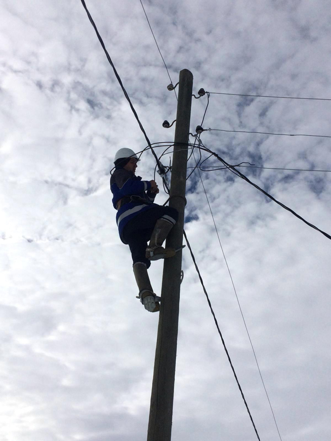 petran-yaylasinin-elektrik-sebekesi-lazboard-senliklerine-hazir--1.jpg