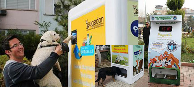 pugedon.jpg pugedon.jpg