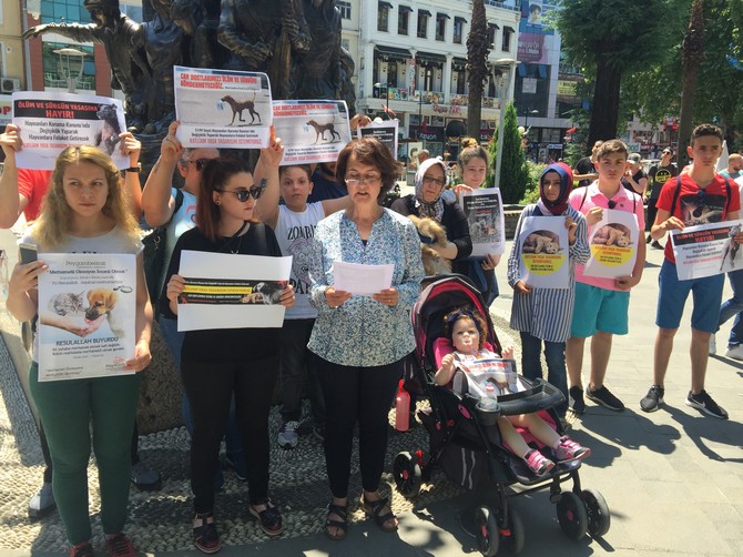 rihayko-hayvan-haklari-icin-sokakta-(1).jpg