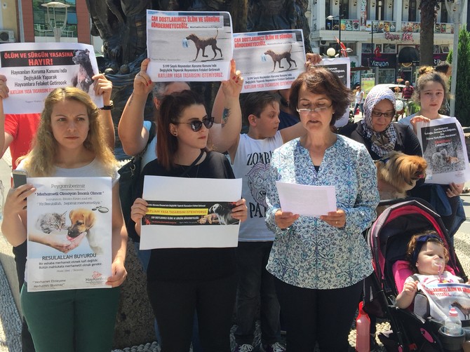 rihayko-hayvan-haklari-icin-sokakta-(2).jpg