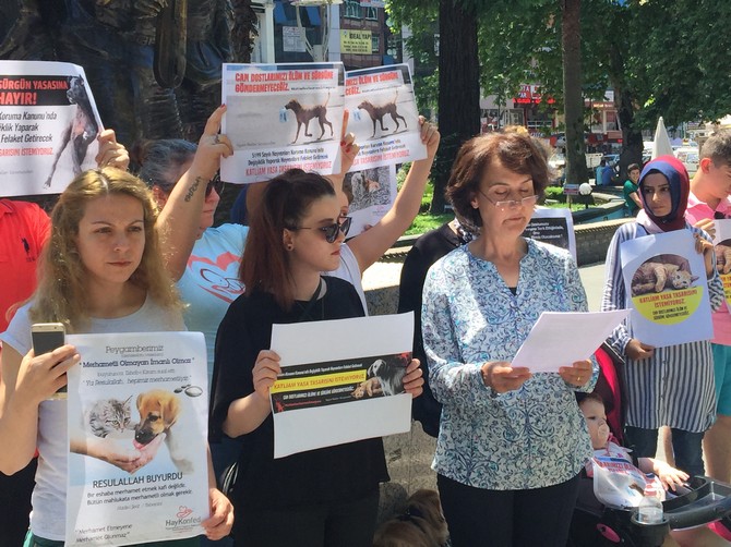 rihayko-hayvan-haklari-icin-sokakta-(4).jpg