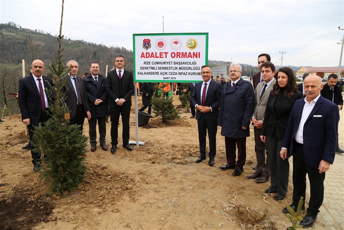rize’de-“adalet-ormani”-projesi-icin-toren-duzenlendi-(2)-001.jpg