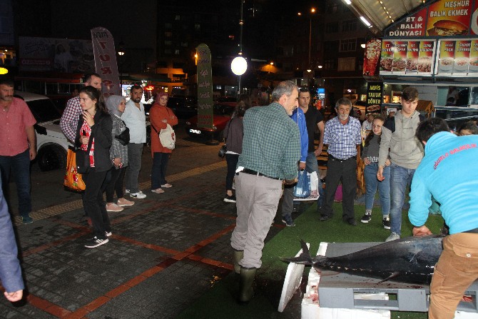 rize’de-90-kiloluk-orkinosa-buyuk-ilgi-(6).jpg