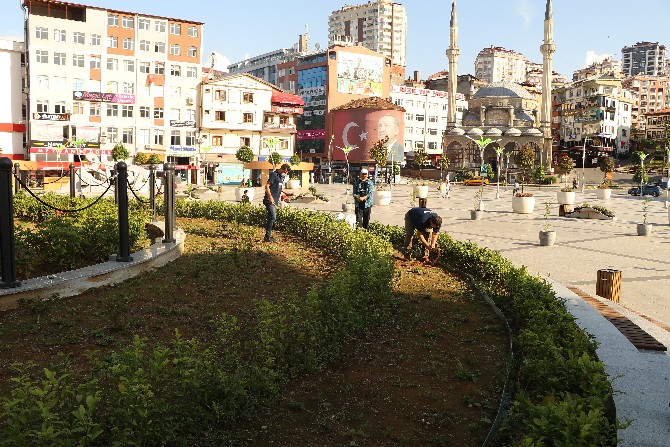 rize’de-cay-ureticileri-dayanisma-ve-yardimlasma-dernegi-(cayudad)-uyeleri,-sehir-meydanindaki-caylarin-bakimini-yaptilar-(1).jpg